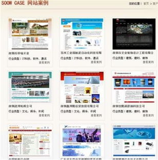 專業(yè)網(wǎng)站建設(shè) 設(shè)計、制作與選擇公司全指南